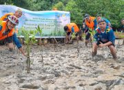 PT PLN Batam Jaga Kelestarian Lingkungan, Tanam 1.000 Pohon Mangrove di Pantai Nongsa